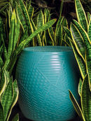 Hocker Roy photo 5