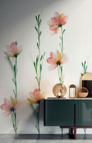 Collezione Wonderwall photo 1