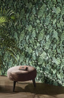 Collezione Wonderwall photo 0