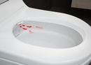 WC e Bidet AquaClean Tuma photo 6
