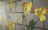 Mosaico Ranunculus photo 2