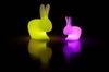 Lamp Rabbit Outdoor Led photo 2