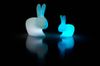Lampe Rabbit Outdoor Led photo 3