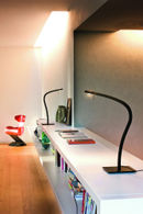 Lampada Paraph photo 2