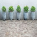 Collezione Terra photo 4