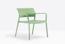 Sedia Ara photo 6