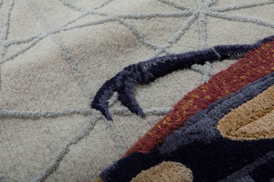 Carpet Amaurodes Chernobilis photo 2