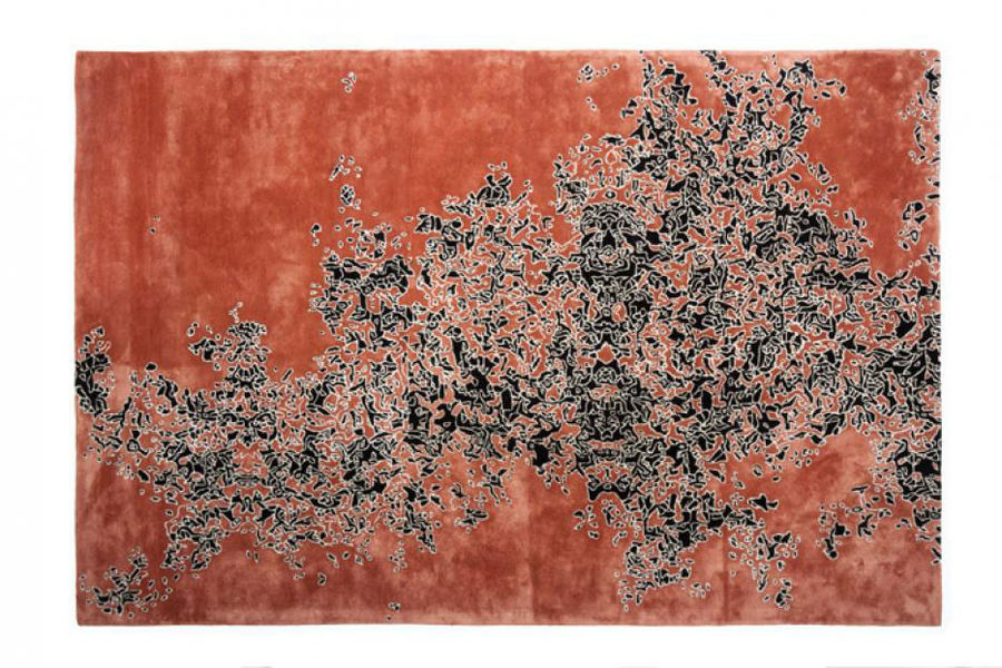 Carpet Camouflage Micro photo 17