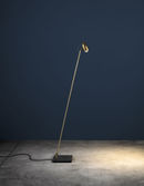 Lampada CicloItalia F photo 1