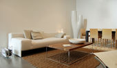 Stylica photo 4