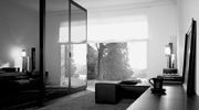 Casuarina Decor