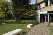 Ciicai