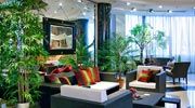 Rich House Interior Center